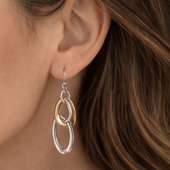 J. Jill Mixed Metal Oval Link Dangle Earrings NWT. (BJ111) - Picture 2 of 5